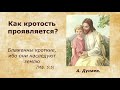 10 08.2023. А. Дунаев. Тема: Как кротость проявляется?