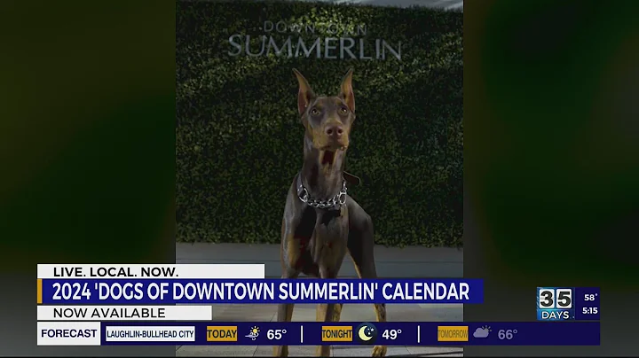 2024 Dogs of Downtown Summerlin calendar available now, proceeds benefit LVMPD K-9 - DayDayNews