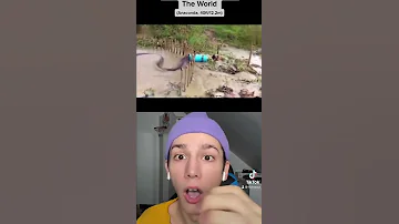 REAL LIFE DINOSAUR CAUGHT ON CAMERA Crazy Shorts Reaction 