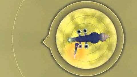 Spore-Secret Cell Editor Gameplay
