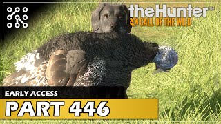 Nejlepší lov krocanů - s labradorem na lovu | theHunter: Call of the wild CZ | Česky