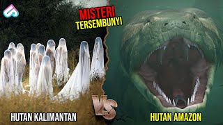 PENGUASA HUTAN PALING MENGERIKAN! PERBANDINGAN HUTAN AMAZON VS HUTAN KALIMANTAN