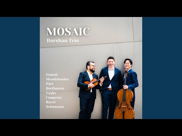 Piano Trio in D Minor Op. 49 (I. Molto Allegro Agitato)