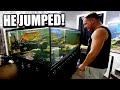 MY GIANT FISH AQUARIUM UPDATE / TOUR