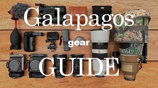 Last-Minute Galapagos Adventure: Gear Essentials & Photography Tips