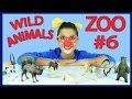 Clowm Mimi in ZOO toy Jungle Safari with wild animals for kids