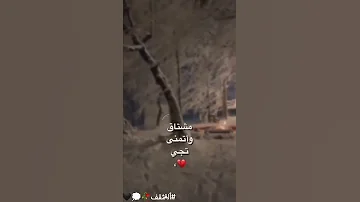 مشتاق واتمنئ تجي مو عيني ذبلها البجي عبارات للعقول الراقيه المثقف 