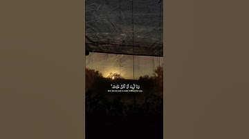 قران كريم ـــــ اكتب شيء تؤجر عليه ♥️💚 آرح سمعك