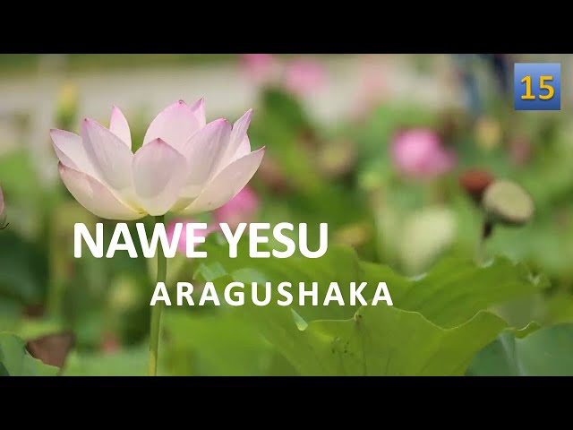 NAWE YESU ARAGUSHAKA - Rushenyi Patrice | 15