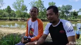 Cara Aplikasi Eco farming pada Tambak Udang/ikan| WA : 081997666661