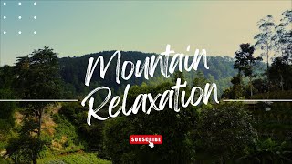Relax music | Sleep #chillmusic #chillsounds #mixsong #mountains