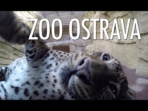 Видеоролик: Зоопарк Остравы