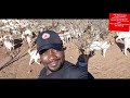 How South African feeds their goats for better results by an Ha