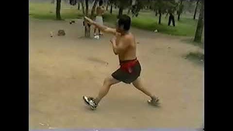 Yin Bagua moves and applications demonstrated by Master Xu Shi Xi