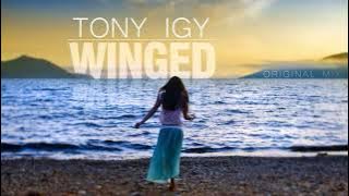 Tony Igy - Winged