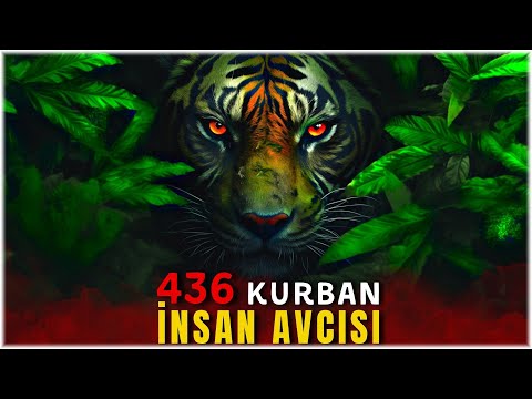 436 İNSANI YİYEN Champawat Kaplanı !