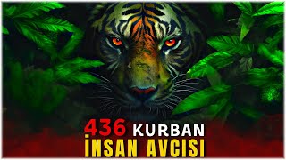 436 İnsani Yi̇yen Champawat Kaplanı 