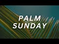 Palm sunday  grant collins  032424