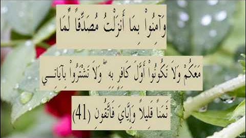 القران الكريم سورة البقرة الاية 41