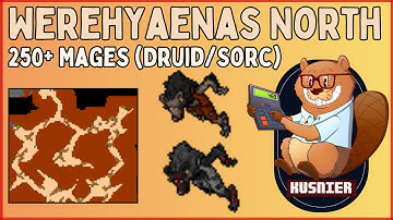 Werehyaenas North | 250+ Mage (Druid/Sorcerer) | Tibia