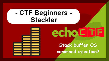 Give it All the x41! - EchoCTF - Stackler - Binary Hacking - Buffer Overflow