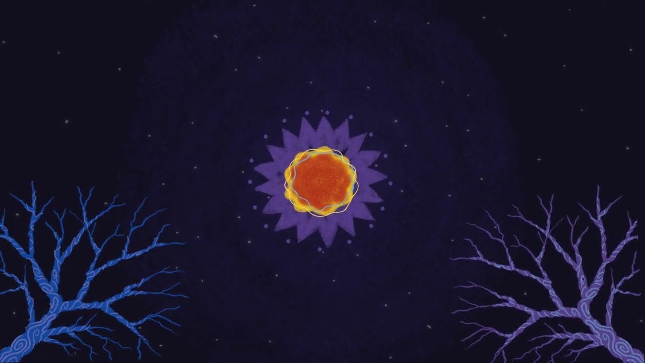 Video 5