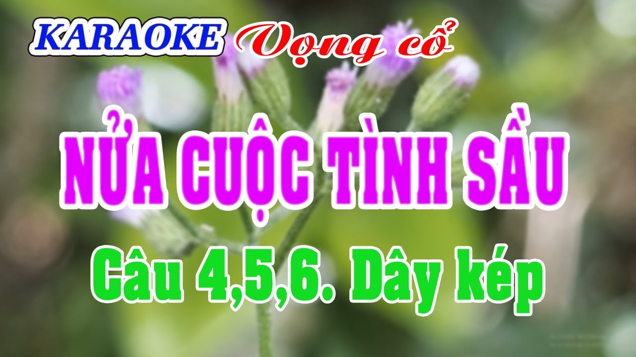 Karaoke _ Nửa Cuộc Tình Sầu _ Dây Kép