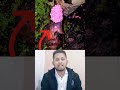 দেখুন এটা কি !
