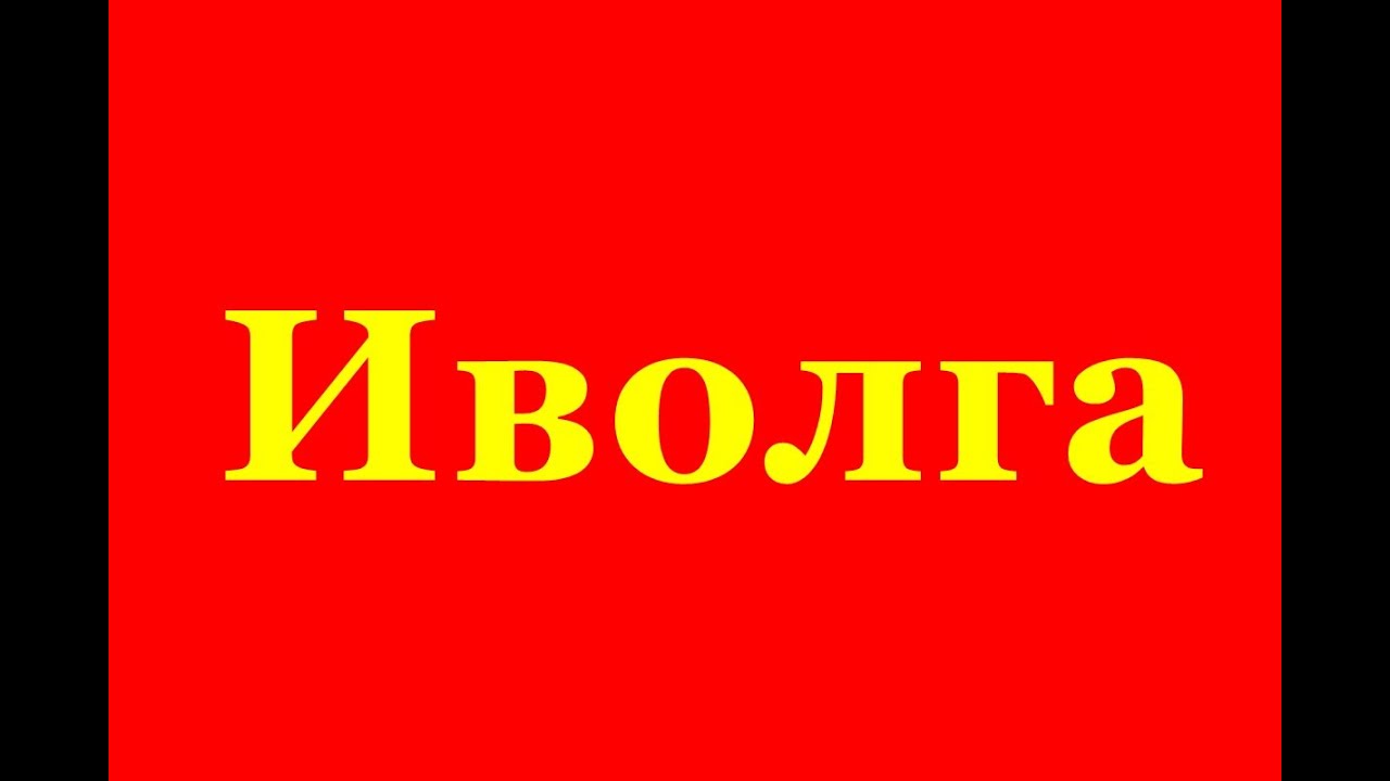 Иволга Красивая дворовая песня Хорошее настроение - YouTube