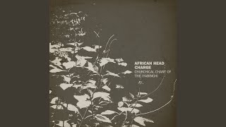 Video thumbnail of "African Head Charge - Dub for the Spirits"