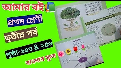 আমার বই ক্লাস ১ পার্ট ৩ পৃষ্ঠা ২৫৩ এবং ২৫৬ @primaryschooleducation34