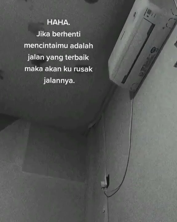 STORY WA