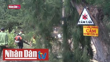 Bình Định: Chủ động phòng, chống cháy rừng mùa khô