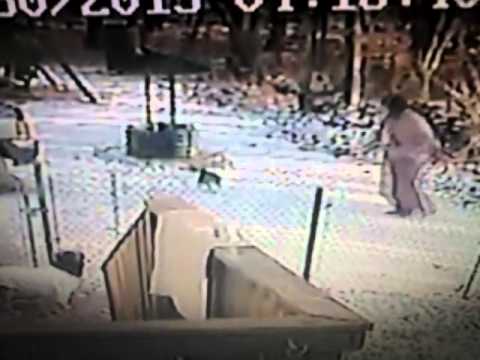 Viewer Video: Cat attacks woman in the snow