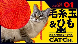 【猫用動画】2021 毛糸玉・ひも CAT GAMES Yarn,Rope