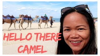 I AM IN THE DESERT OF CAMEL