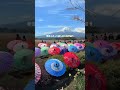 【山梨・観光】この春に行きたい！自然を満喫する絶景スポット６選！！