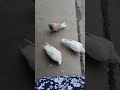 Просто душевно Подпишись ❤️