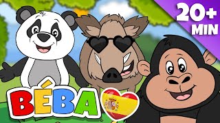 CANCIÓN DE SALTO | + Más canciones infantiles en español | 26 min | BÉBA by BÉBA - Canciones infantiles en español 16,612 views 1 month ago 26 minutes