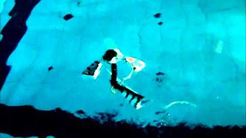 Robot Fish Final -- Another One bites the dust