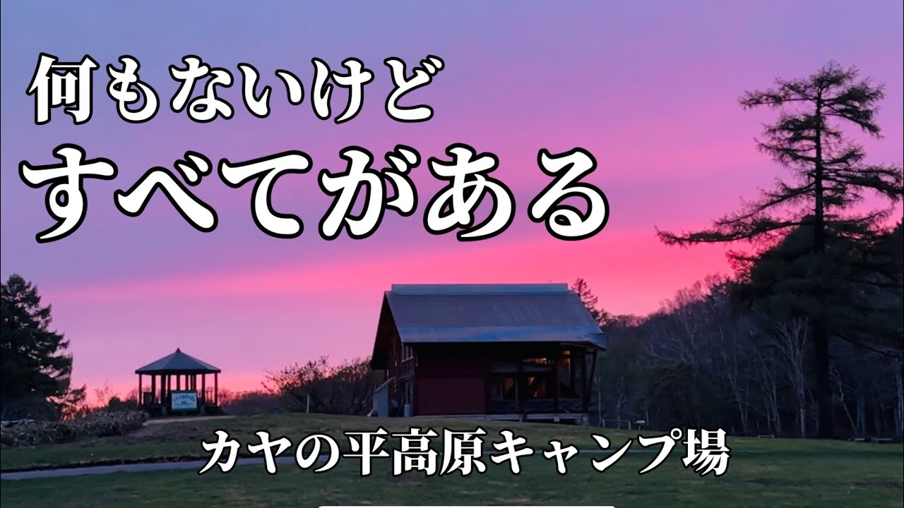 長野県絶景キャンプ【カヤの平高原キャンプ場】日本一美しいブナの森 バンビと出会う 50代女子ソロキャンプ #犬連れキャンプ #アラフィフ  #エアーテント #beautifuljapan
