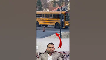 كلب وفي يحرس فتاتين صغيرتين حتى تصعدا إلى حافلة المدرسة ثم يعود مطمئنا إلى اكسبلور لايك ترند 