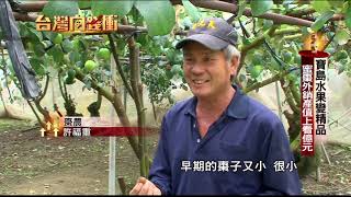 寶島水果變精品　蜜棗外銷產值上看億元200201【台灣向錢衝】PART3