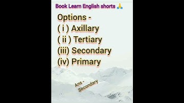 Computer Mcq #shorts #learning #computer #study #youtubeshorts #video #ytshorts