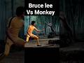 Sora 2 - Monkey Attacks Bruce Lee #sora2 #ai #brucelee #monkey #fypシ #viral #fighting