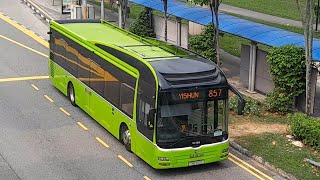 (Repainted) SMB3110G(MDDEP) On Service 857 At Yishun Avenue 2