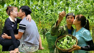 картинка: Горькая тыква и лимоны, собранные на продажу — Готовим вместе — Жизнь Линь