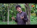 Lagin Zingalaan Qemti Lohay V Gal Winday | Qamar Shahpuria | ( Official Video ) | Shaheen Studio Mp3 Song