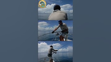 Giant trevally on popper | ANDAMAN GAME FISHING | #shorts