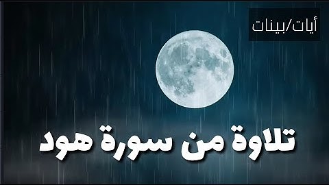 تلاوة خاشعه من سورة هود || القارئ انس العمادى